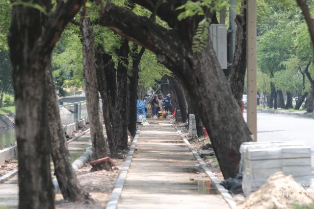 วิจารณ์! กทม. ทำทางจักรยานรอบสวนจิตรฯ
ผิดภูมิสถาปัตยกรรม ทำลายต้นไม้ใหญ่