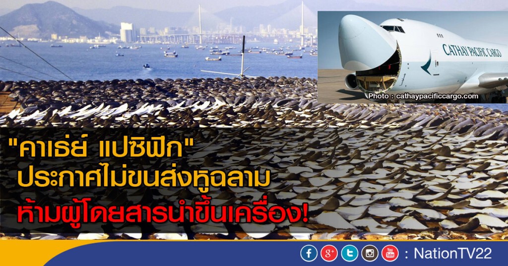 "คาเธ่ย์ แปซิฟิก" ประกาศไม่ขนส่งหูฉลาม ห้ามผู้โดยสารนำขึ้นเครื่อง "คาเธ่ย์ แปซิฟิก" ประกาศไม่ขนส่งหูฉลาม ห้ามผู้โดยสารนำขึ้นเครื่อง