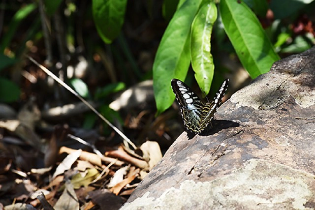 Chic-in Trip : ตะลุยกินเที่ยวสระแก้ว 4 วัน 3 คืน ตอนที่ 1