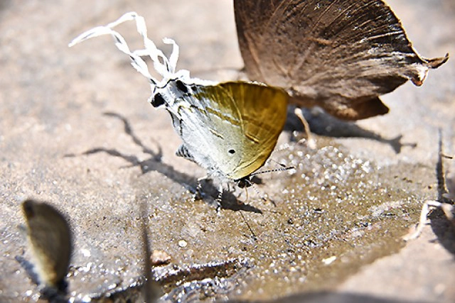 Chic-in Trip : ตะลุยกินเที่ยวสระแก้ว 4 วัน 3 คืน ตอนที่ 1