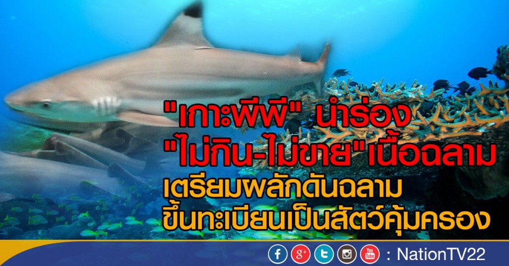 "เกาะพีพี" นำร่องไม่ขายเนื้อฉลาม "เกาะพีพี" นำร่องไม่ขายเนื้อฉลาม