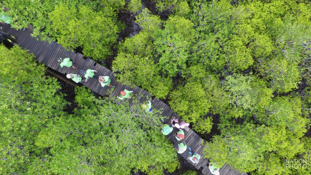 ภาพชุดมุมสูงสุดงาม! ปั่น Slow life ริมแม่น้ำประแส