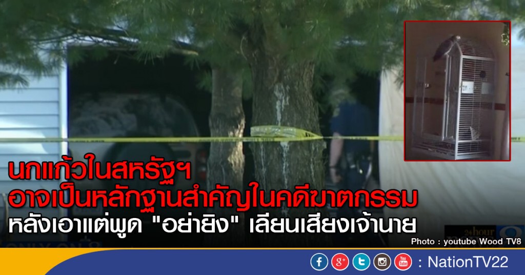 นกแก้วกลายเป็นหลักฐานคดีฆาตกรรม นกแก้วกลายเป็นหลักฐานคดีฆาตกรรม