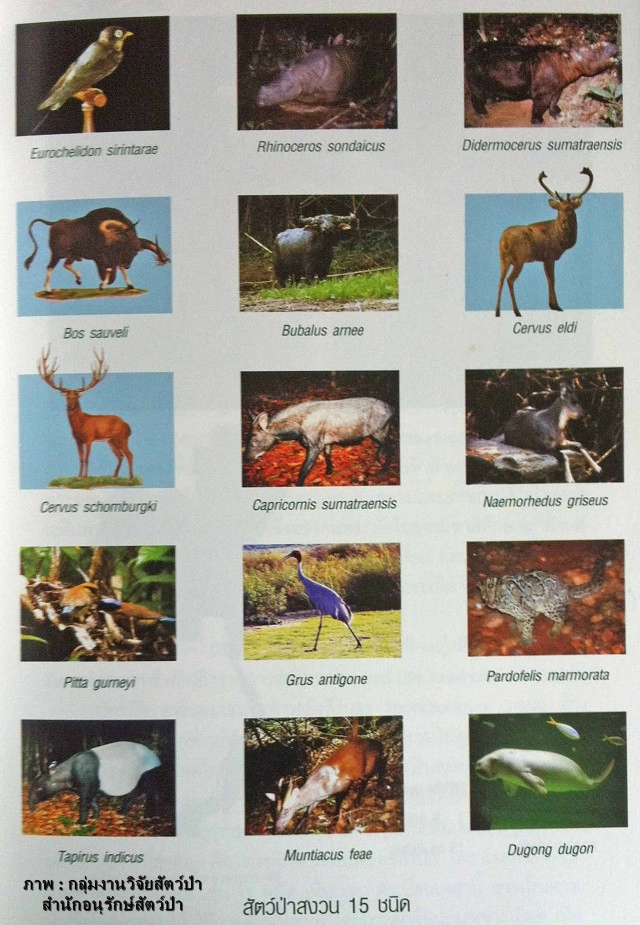 นักอนุรักษ์จี้เร่งแก้ไข! กระทรวงศึกษาฯ สุดมั่ว 
ใส่รูปสัตว์สงวนไทย "ผิด 5 ชนิด" ในแท็บเล็ตแจกนร.