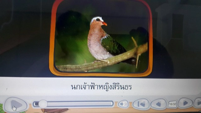 นักอนุรักษ์จี้เร่งแก้ไข! กระทรวงศึกษาฯ สุดมั่ว 
ใส่รูปสัตว์สงวนไทย "ผิด 5 ชนิด" ในแท็บเล็ตแจกนร.