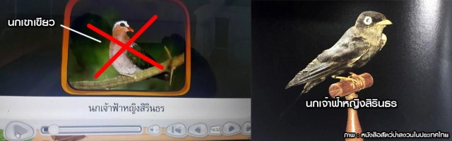 ดาว์พงษ์ สั่งแก้ด่วน! ภาพสัตว์ป่าสงวน บนแท็บเล็ตแจกนร.  หลังพบผิดเพียบ