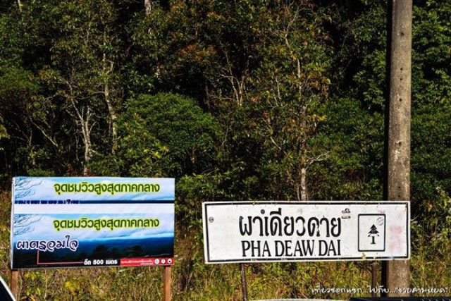 ทส.แก้จุดเสี่ยง "ผาเดียวดาย"