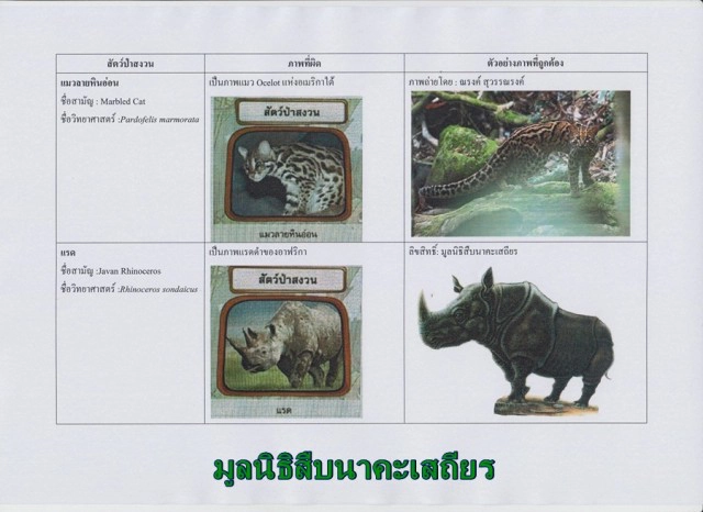 ดาว์พงษ์ สั่งแก้ด่วน! ภาพสัตว์ป่าสงวน บนแท็บเล็ตแจกนร.  หลังพบผิดเพียบ
