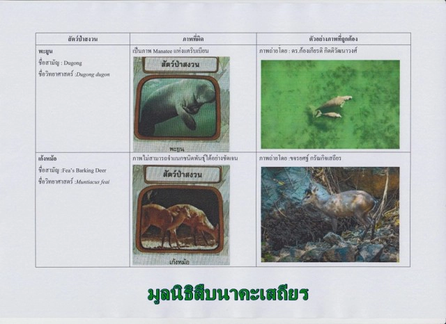 ดาว์พงษ์ สั่งแก้ด่วน! ภาพสัตว์ป่าสงวน บนแท็บเล็ตแจกนร.  หลังพบผิดเพียบ