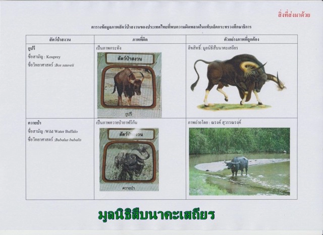 ดาว์พงษ์ สั่งแก้ด่วน! ภาพสัตว์ป่าสงวน บนแท็บเล็ตแจกนร.  หลังพบผิดเพียบ