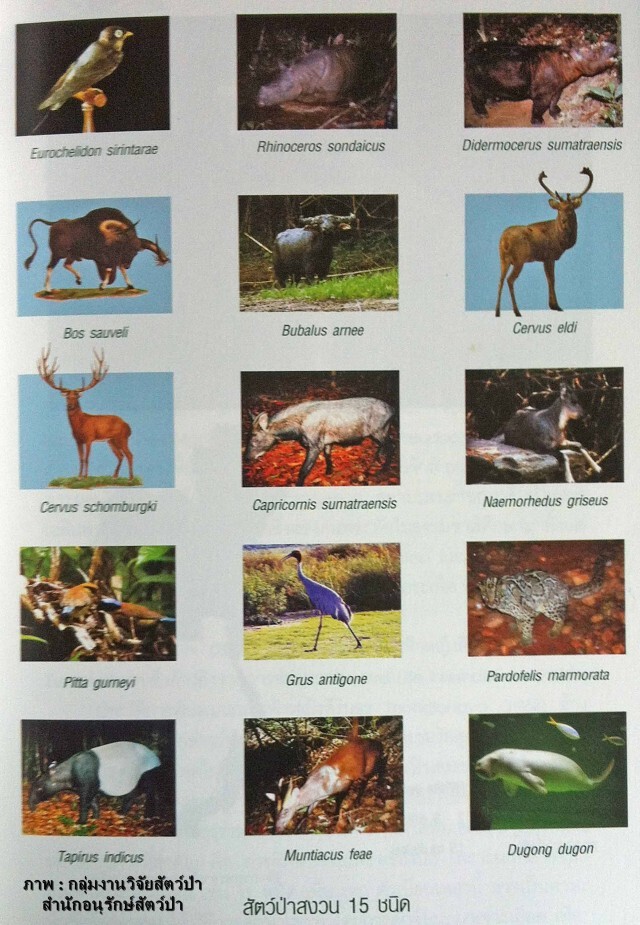 สพฐ.  ตั้งคณะกรรมการแก้ไข ใส่ภาพสัตว์ป่าสงวนผิดในแท็บเล็ตนักเรียน