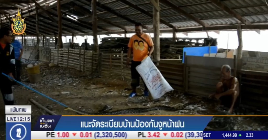 แนะจัดระเบียบบ้าน ป้องกันงูหน้าฝน แนะจัดระเบียบบ้าน ป้องกันงูหน้าฝน