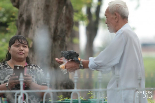 อาชีพขายอาหารนกยังมีที่สนามหลวง หลังกทม.ปรับปรุงภูมิทัศน์