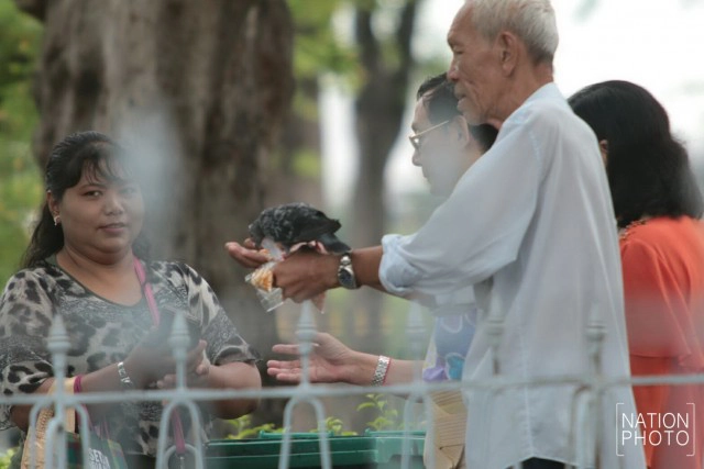 อาชีพขายอาหารนกยังมีที่สนามหลวง หลังกทม.ปรับปรุงภูมิทัศน์
