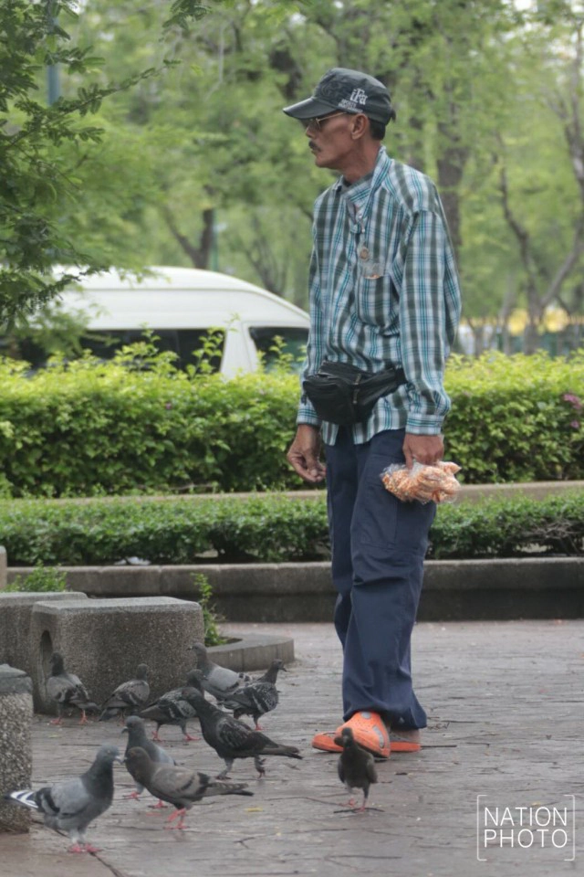 อาชีพขายอาหารนกยังมีที่สนามหลวง หลังกทม.ปรับปรุงภูมิทัศน์