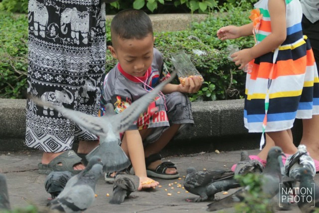 อาชีพขายอาหารนกยังมีที่สนามหลวง หลังกทม.ปรับปรุงภูมิทัศน์