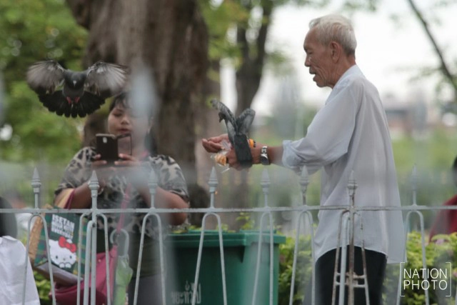 อาชีพขายอาหารนกยังมีที่สนามหลวง หลังกทม.ปรับปรุงภูมิทัศน์