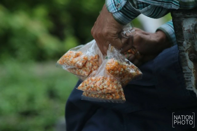 อาชีพขายอาหารนกยังมีที่สนามหลวง หลังกทม.ปรับปรุงภูมิทัศน์