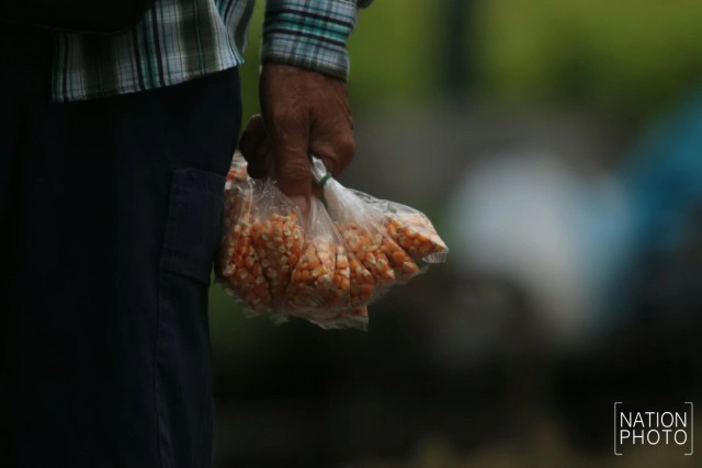 อาชีพขายอาหารนกยังมีที่สนามหลวง หลังกทม.ปรับปรุงภูมิทัศน์