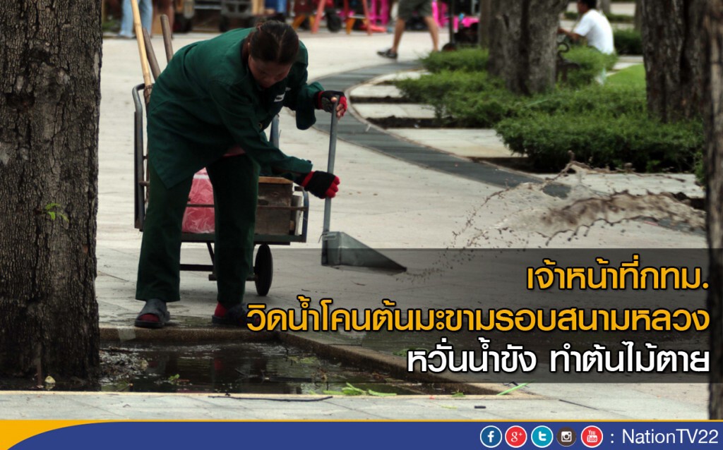 เจ้าหน้าที่กทม.วิดน้ำโคนต้นมะขามรอบสนามหลวง หวั่นน้ำขัง ทำต้นไม้ตาย เจ้าหน้าที่กทม.วิดน้ำโคนต้นมะขามรอบสนามหลวง หวั่นน้ำขัง ทำต้นไม้ตาย