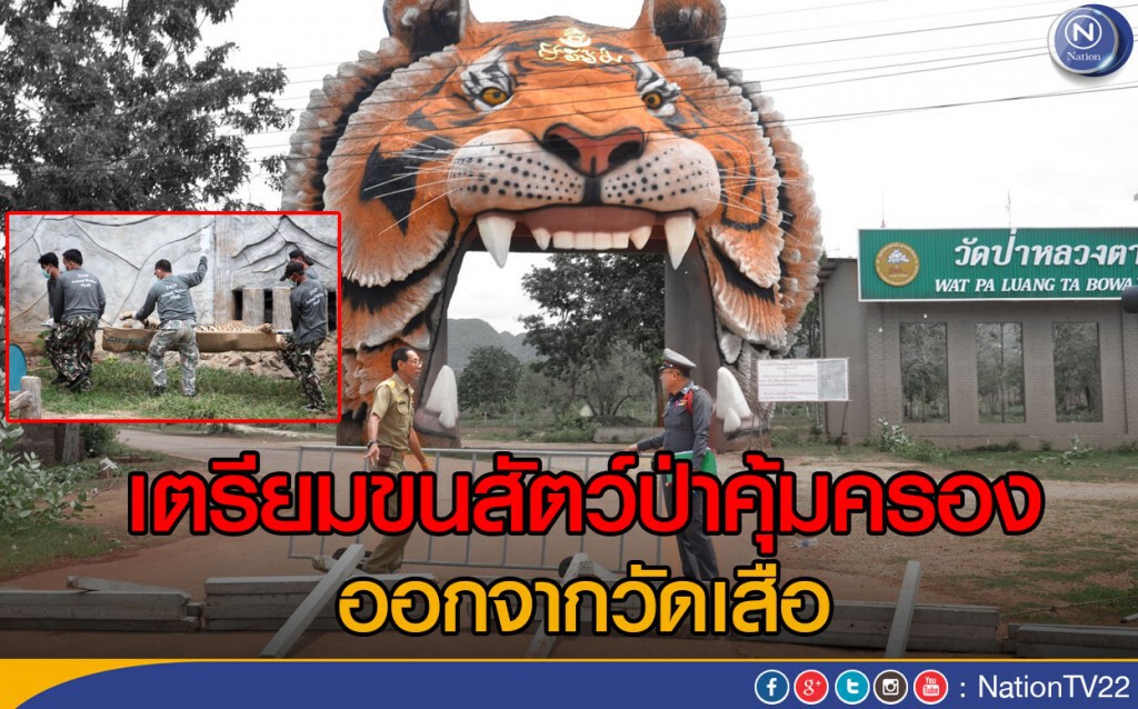 เตรียมขนสัตว์ป่าคุ้มครอง ออกจากวัดเสือ เตรียมขนสัตว์ป่าคุ้มครอง ออกจากวัดเสือ
