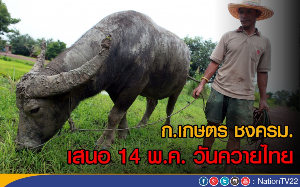 ก.เกษตร ชงครม.
เสนอ 14 พ.ค. วันควายไทย ก.เกษตร ชงครม.
เสนอ 14 พ.ค. วันควายไทย