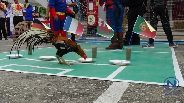 ไปรษณีย์พิษณุโลก 
จัด "ไก่เหลืองหางขาว" ทายผลแชมป์บอลยูโร