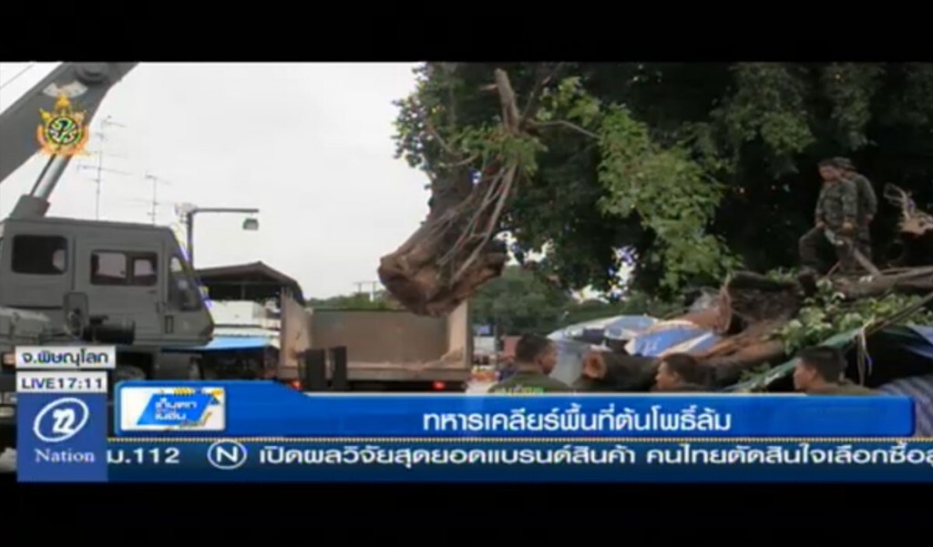 ทหารเคลียร์พื้นที่ต้นโพธิ์ล้ม