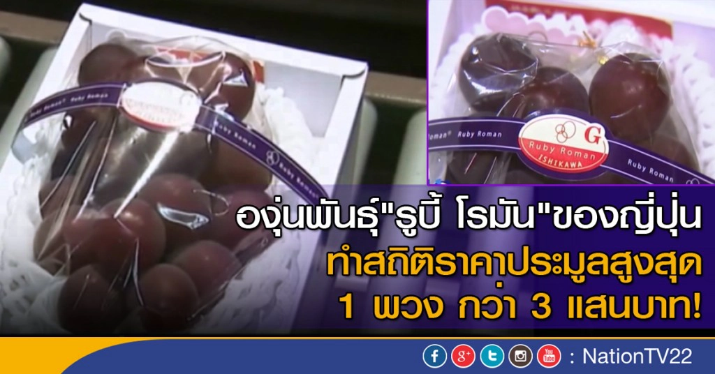 องุ่นญี่ปุ่น 1 พวงกว่า 3 แสนบาท