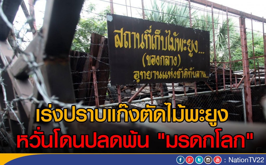 เร่งปราบแก๊งตัดไม้พะยูง
หวั่นโดนปลดพ้น "มรดกโลก" เร่งปราบแก๊งตัดไม้พะยูง
หวั่นโดนปลดพ้น "มรดกโลก"