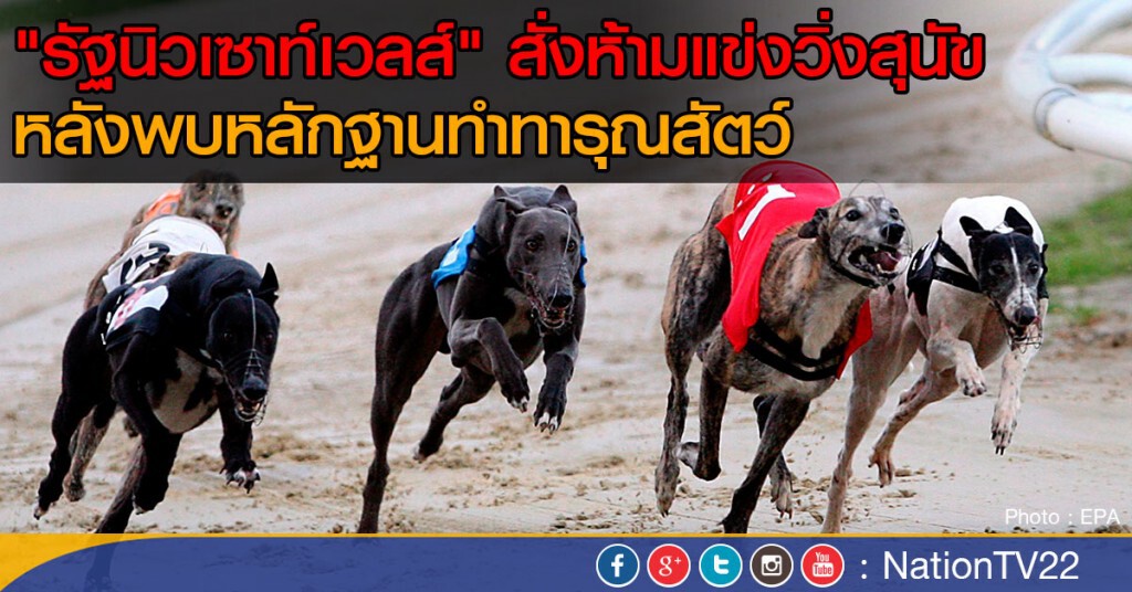 "รัฐนิวเซาท์เวลส์" ห้ามแข่งวิ่งสุนัข "รัฐนิวเซาท์เวลส์" ห้ามแข่งวิ่งสุนัข