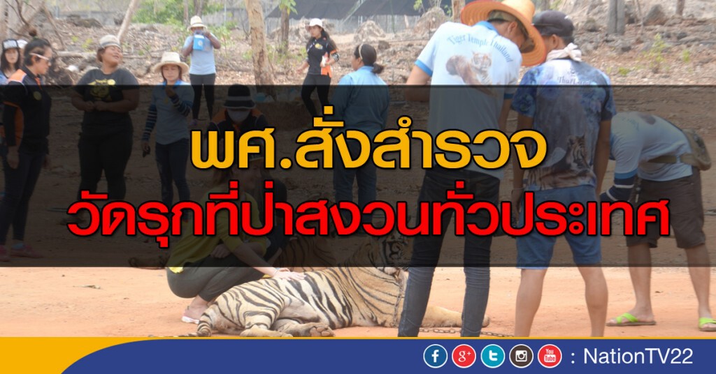 สั่งสำรวจวัดรุกที่ป่าสงวนทั่วประเทศ สั่งสำรวจวัดรุกที่ป่าสงวนทั่วประเทศ