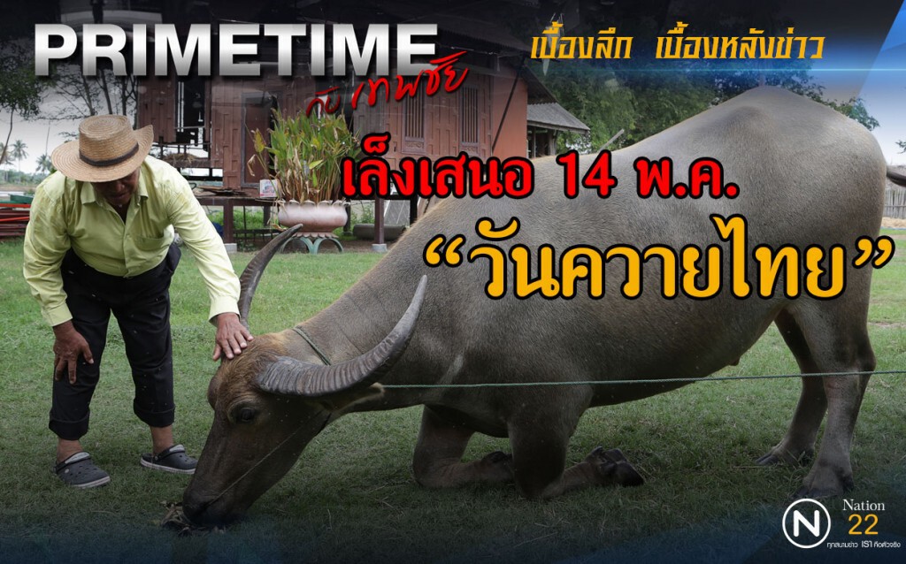 "PRIMETIME กับ เทพชัย" : เล็งเสนอ 14 พ.ค. "วันควายไทย" "PRIMETIME กับ เทพชัย" : เล็งเสนอ 14 พ.ค. "วันควายไทย"