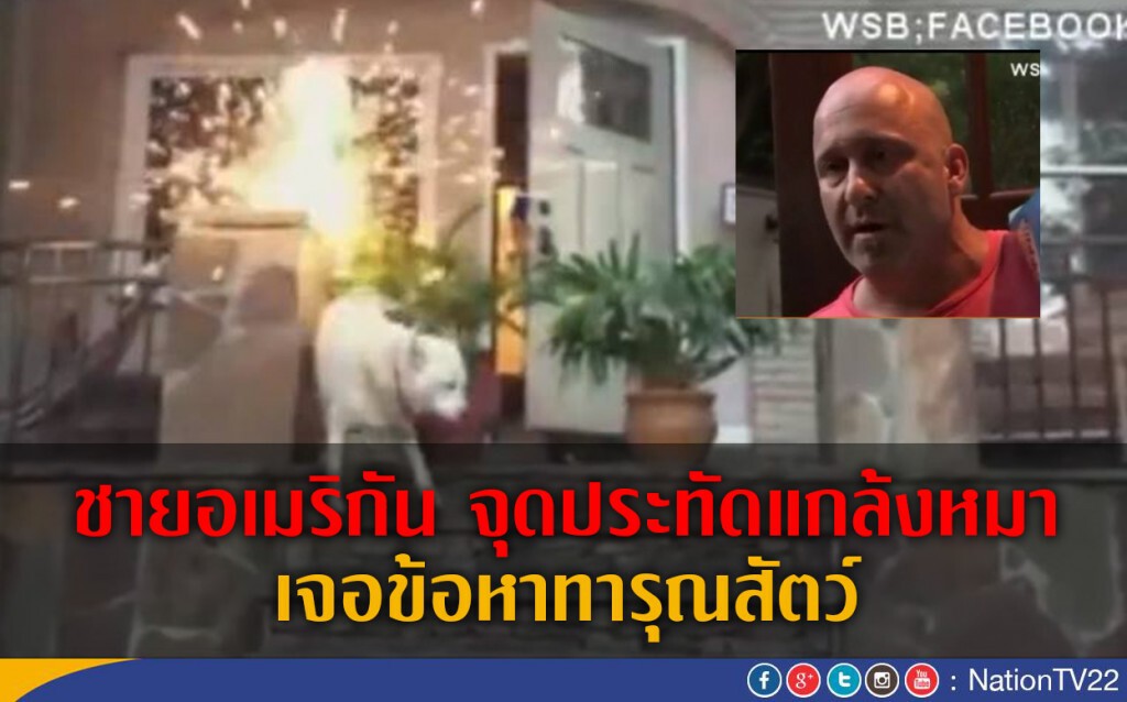 ชายอเมริกัน จุดประทัดแกล้งหมา เจอข้อหาทารุณสัตว์ ชายอเมริกัน จุดประทัดแกล้งหมา เจอข้อหาทารุณสัตว์