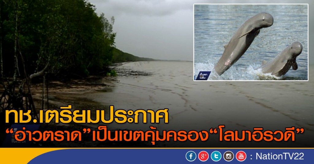 เตรียมประกาศอ่าวตราด เป็นเขตคุ้มครอง "โลมาอิรวดี" เตรียมประกาศอ่าวตราด เป็นเขตคุ้มครอง "โลมาอิรวดี"