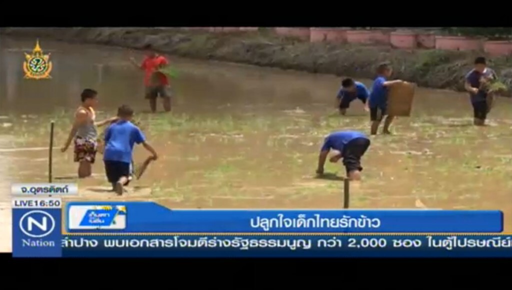 ปลูกใจให้เด็กไทยรักข้าว