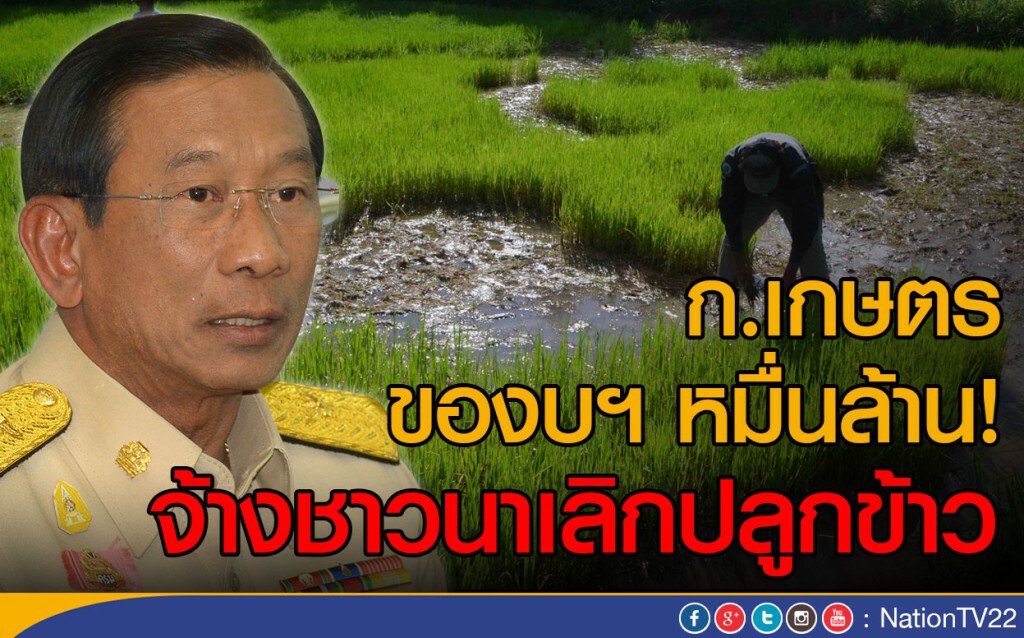 ก.เกษตร ของบฯ หมื่นล้าน!
จ้างชาวนาเลิกปลูกข้าว ก.เกษตร ของบฯ หมื่นล้าน!
จ้างชาวนาเลิกปลูกข้าว