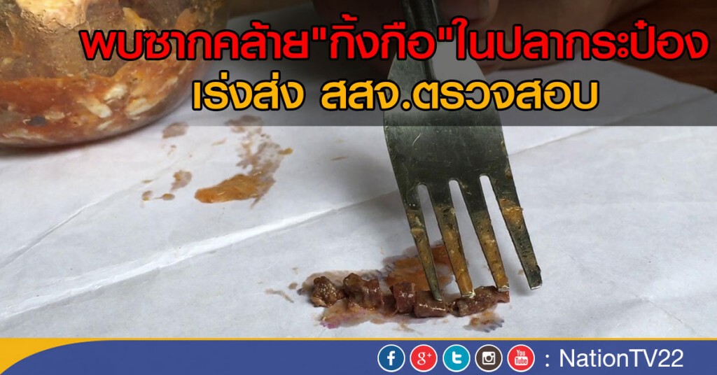 พบซากคล้าย"กิ้งกือ"ในปลากระป๋อง
เร่งส่ง สสจ.ตรวจสอบ พบซากคล้าย"กิ้งกือ"ในปลากระป๋อง
เร่งส่ง สสจ.ตรวจสอบ
