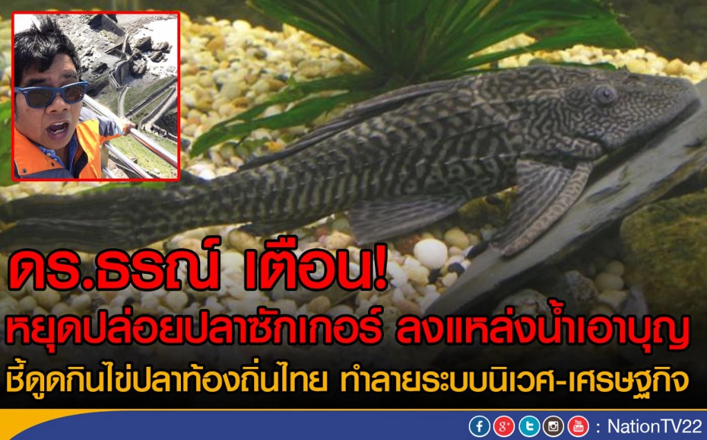 ดร.ธรณ์ เตือนหยุดปล่อยปลาซักเกอร์ ลงแหล่งน้ำเอาบุญ