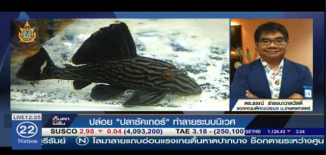 ดร.ธรณ์ เตือนหยุดปล่อยปลาซักเกอร์ ลงแหล่งน้ำเอาบุญ