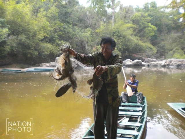 ดร.ธรณ์ เตือนหยุดปล่อยปลาซักเกอร์ ลงแหล่งน้ำเอาบุญ