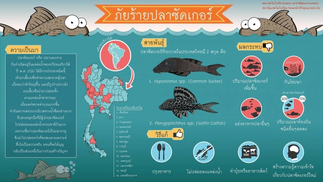 ดร.ธรณ์ เตือนหยุดปล่อยปลาซักเกอร์ ลงแหล่งน้ำเอาบุญ