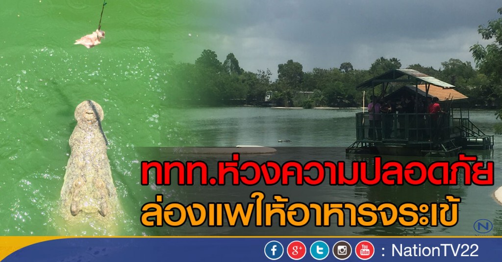 ททท.ห่วงความปลอดภัย ล่องแพให้อาหารจระเข้