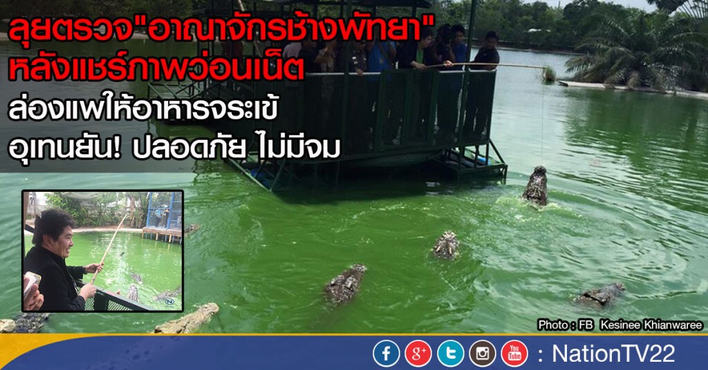 ลุยตรวจ"อาณาจักรช้างพัทยา"หลังแชร์ภาพว่อนเน็ต
ล่องแพให้อาหารจระเข้