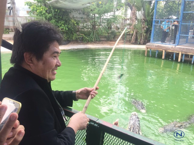 ลุยตรวจ"อาณาจักรช้างพัทยา"หลังแชร์ภาพว่อนเน็ต
ล่องแพให้อาหารจระเข้