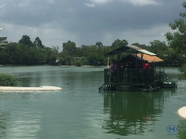 ลุยตรวจ"อาณาจักรช้างพัทยา"หลังแชร์ภาพว่อนเน็ต
ล่องแพให้อาหารจระเข้