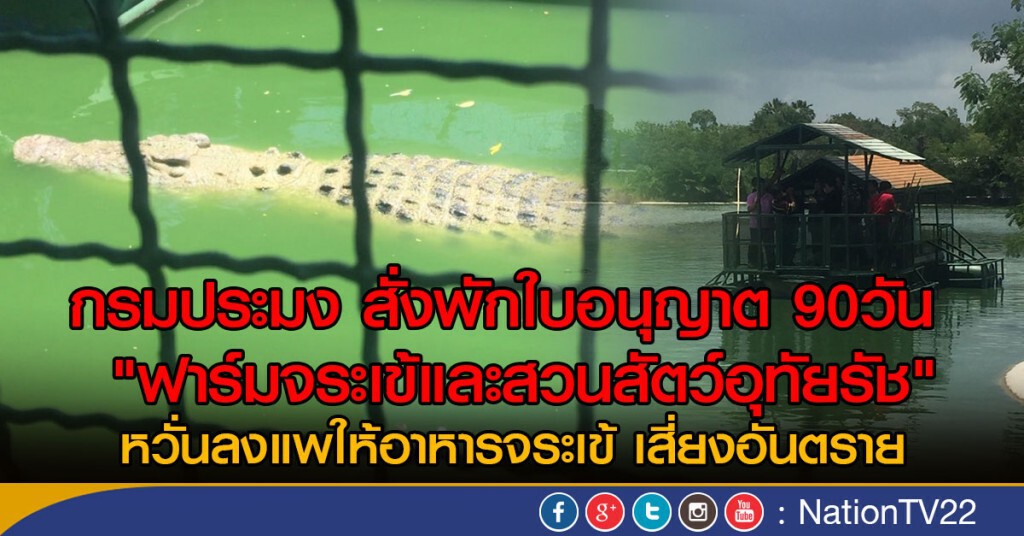 กรมประมง สั่งพักใบอนุญาต 90 วัน
"ฟาร์มจระเข้และสวนสัตว์อุทัยรัช" กรมประมง สั่งพักใบอนุญาต 90 วัน
"ฟาร์มจระเข้และสวนสัตว์อุทัยรัช"