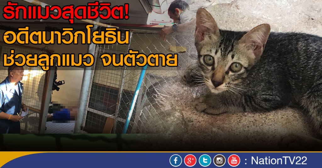 รักแมวสุดชีวิต!
อดีตนาวิกโยธิน  ช่วยลูกแมว จนตัวตาย