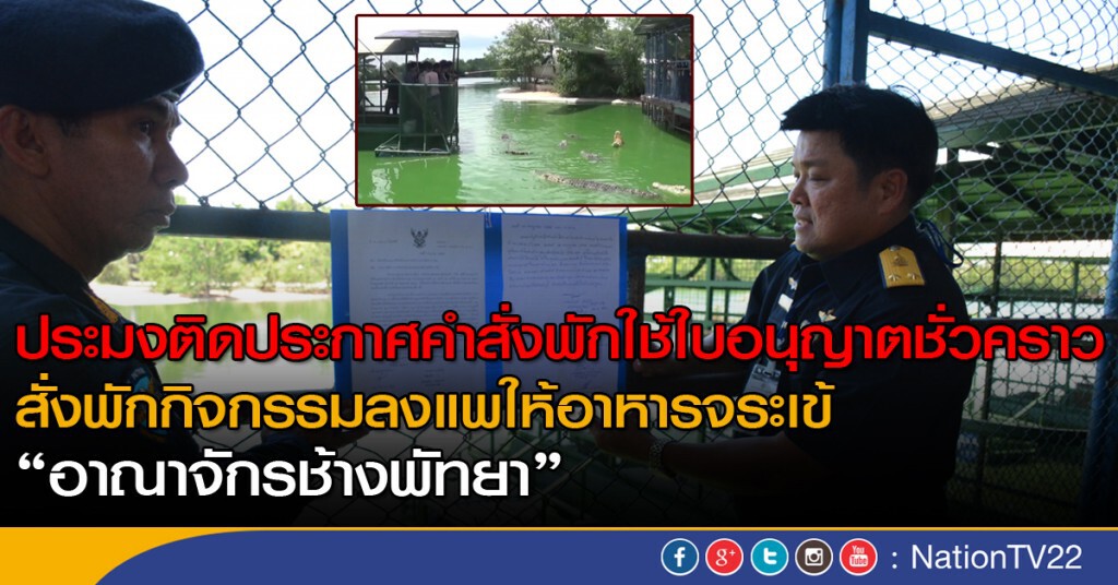 ประมงสั่งห้ามกิจกรรมลงแพให้อาหารจระเข้ ประมงสั่งห้ามกิจกรรมลงแพให้อาหารจระเข้