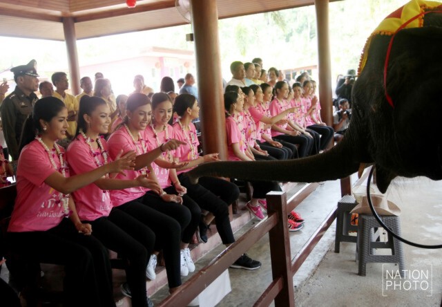 ผู้เข้าประกวดมิสยูนิเวิร์สไทยแลนด์ 2016 เยี่ยมชมปางช้างแสงตะวันซาฟารี จ.พังงา